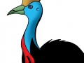 cassowary coloured copy