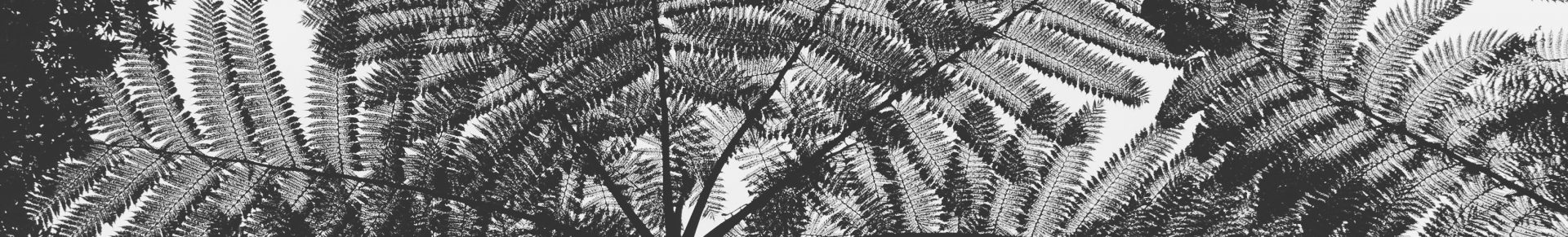 Far North Wilderness Bike Tour